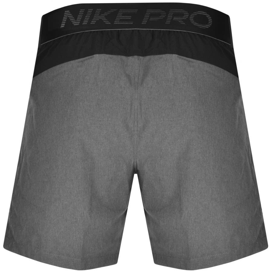 Alternative Image for ProductNike Training Logo Shorts Grey2